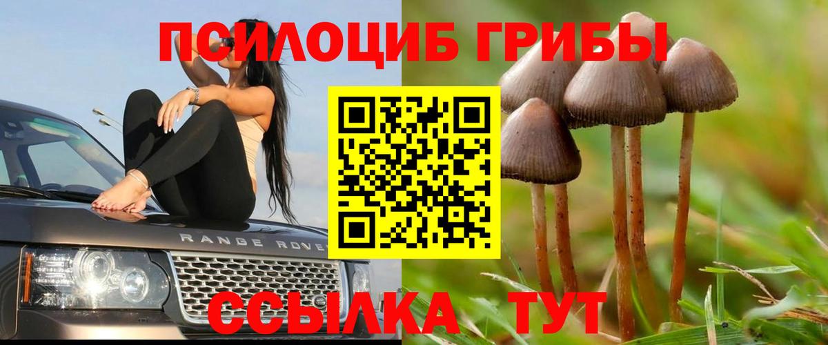 Галлюциногенные грибы мицелий Шатура
